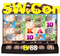 Sinta a adrenalina dos jogos de cassino com Br88