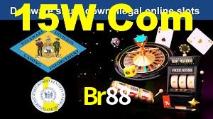 Premium Interface Br88